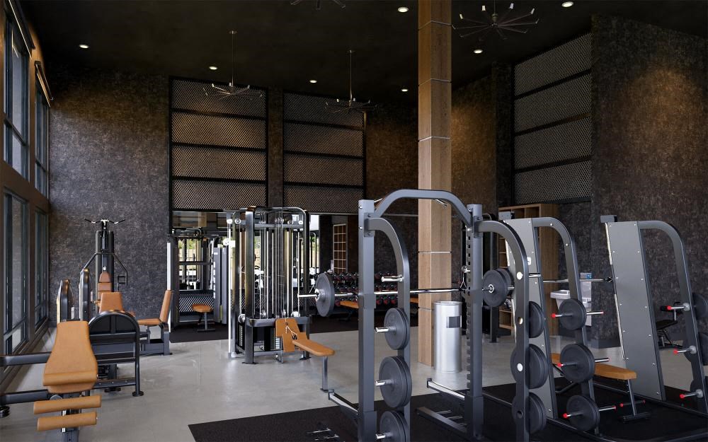 a gym with a lot of exercise equipment in it