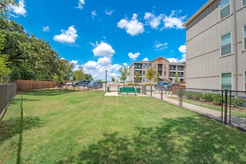 fenced in dog park