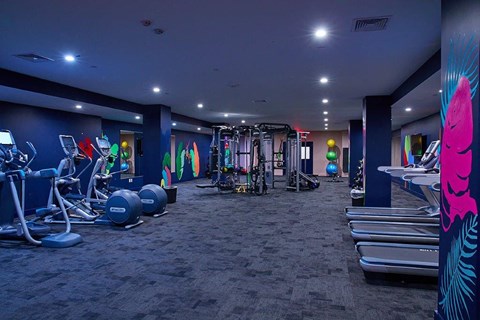 a gym with weights and cardio equipment in a large room