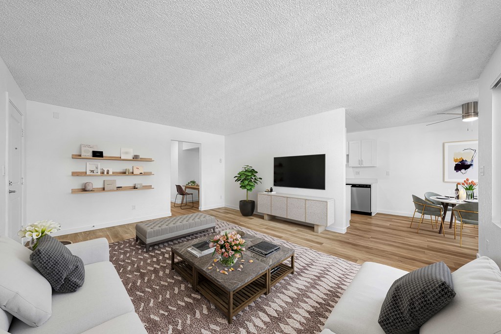 A living room with a grey couch, a coffee table, and a television.