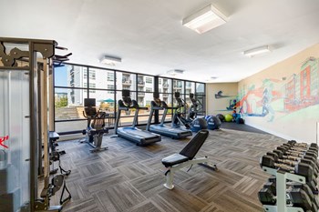 gym - Photo Gallery 12