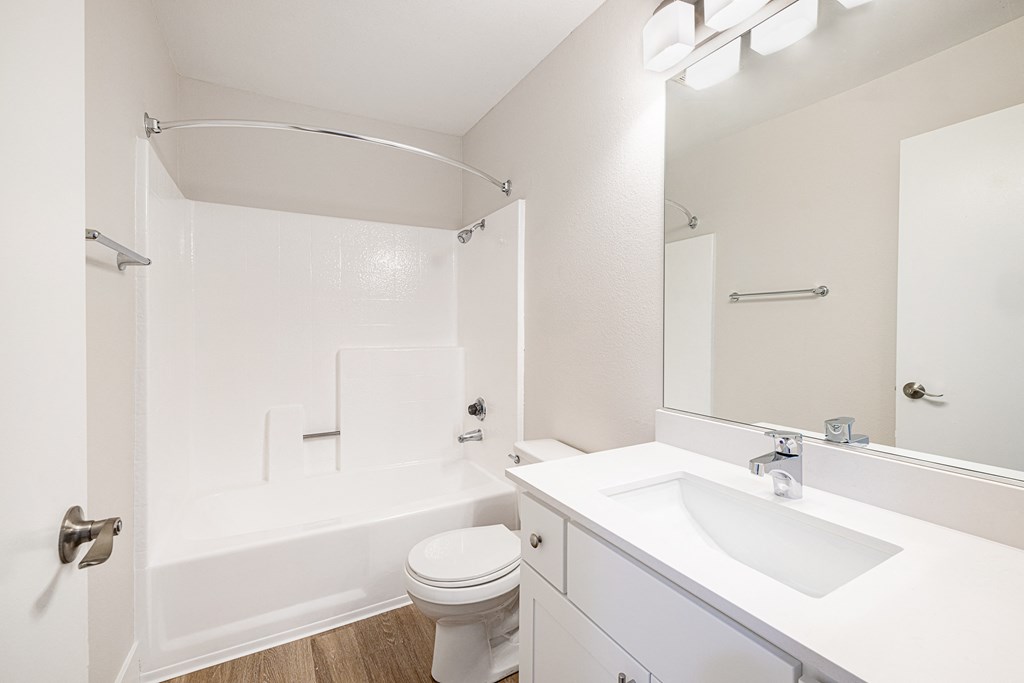 1 Bedroom 1 Bathroom Unit Bathroom at the Ashton Apartments