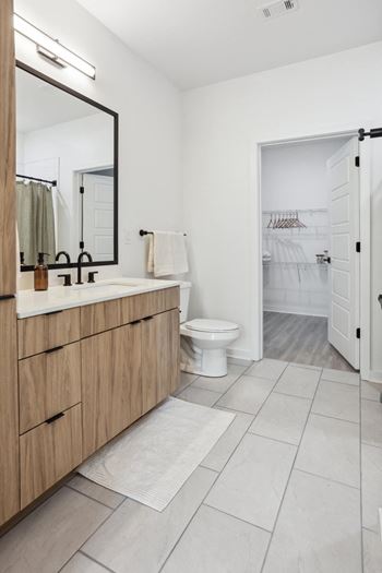 a bathroom with a toilet and a sink and a mirror