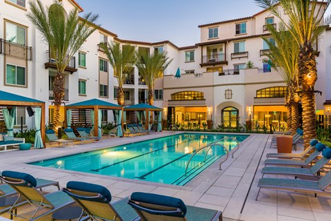 A pool surrounded by lounge chairs and palm trees at Sola at Pacific Highlands Ranch Apartments, San Diego, California