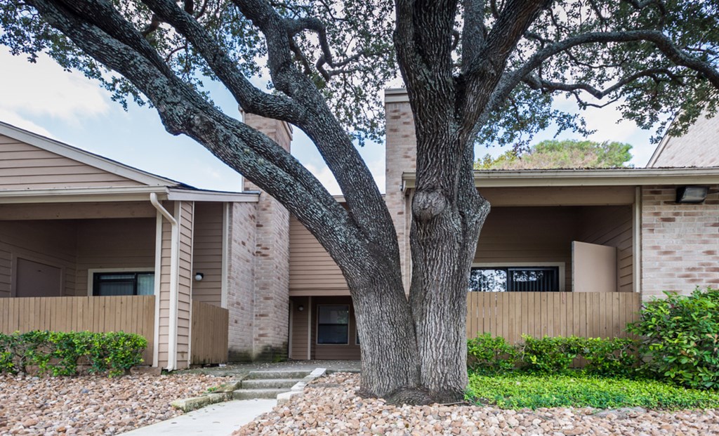 a large oak tree in front of a brick building