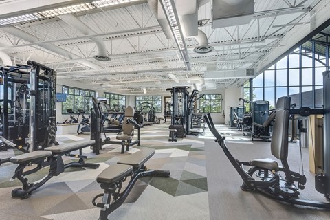 A gym with a variety of equipment including treadmills, weights, and benches.