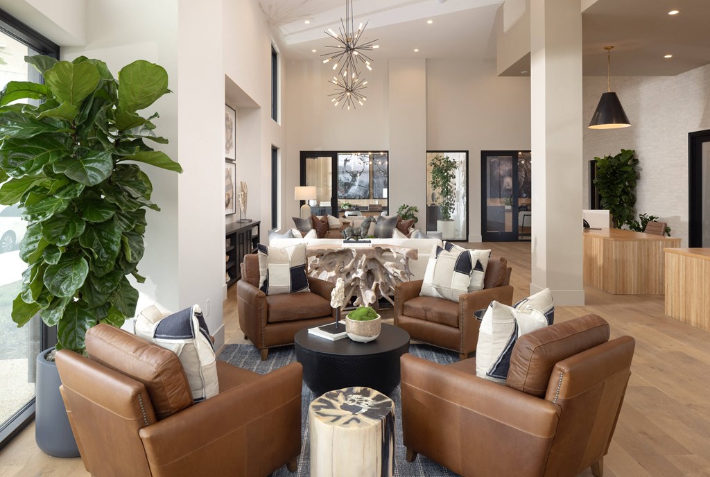 a living room with brown leather furniture and a large potted plant