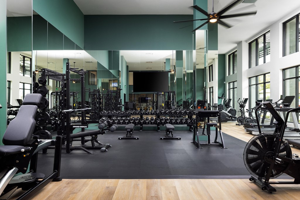 a large fitness room with weights machines and other exercise equipment