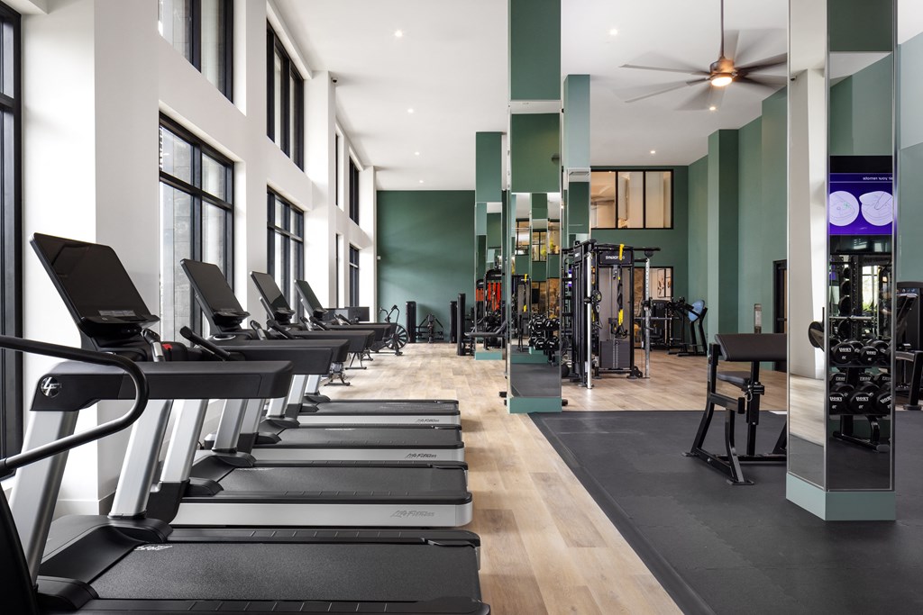a row of treadmills in a gym with green walls and windows