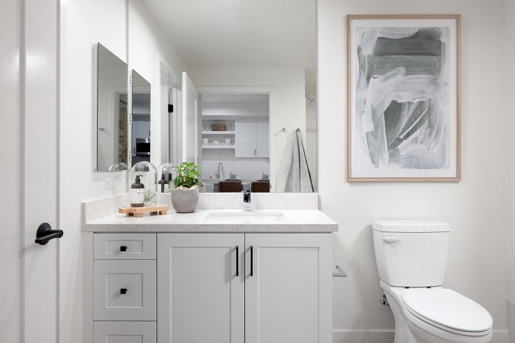 a bathroom with a sink and a toilet and a mirror