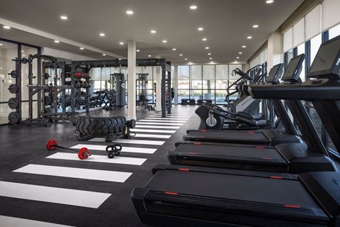 A gym with treadmills, weights, and exercise equipment.