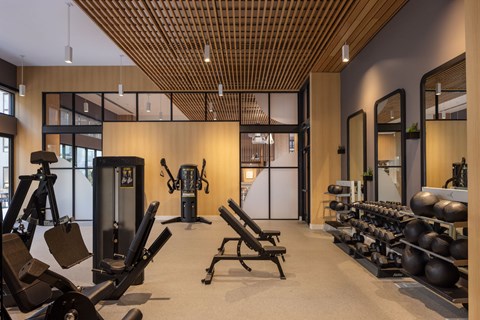 A gym with a variety of equipment including weights and machines.