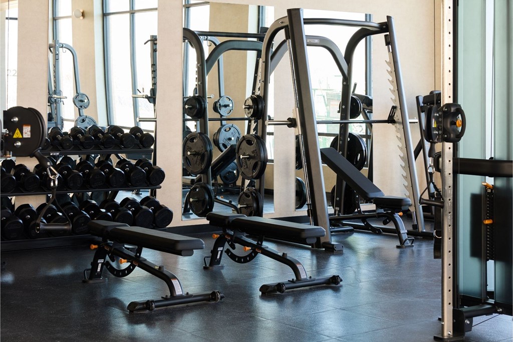 A gym with a variety of equipment including dumbbells, weight plates, and weight machines.