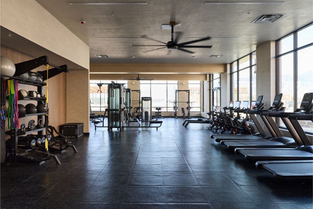 A gym with treadmills, weights, and exercise equipment.
