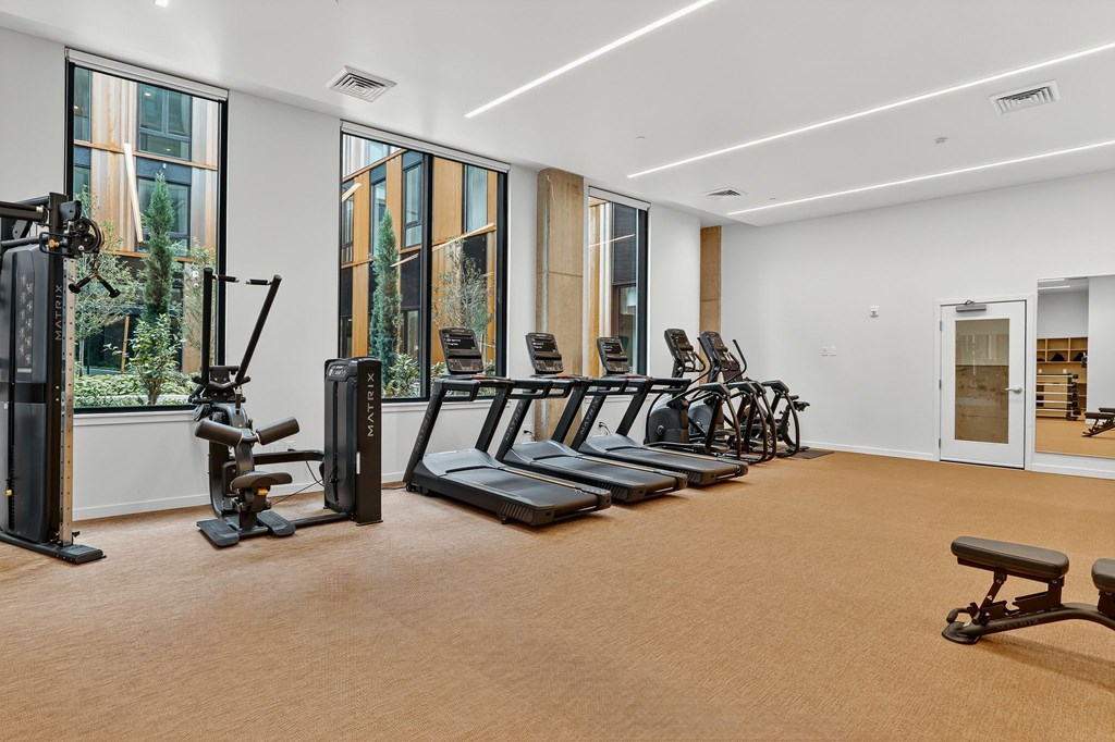 A gym with treadmills, weights, and exercise machines.