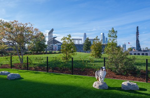 a dog standing on a rock in a park with a city in the background