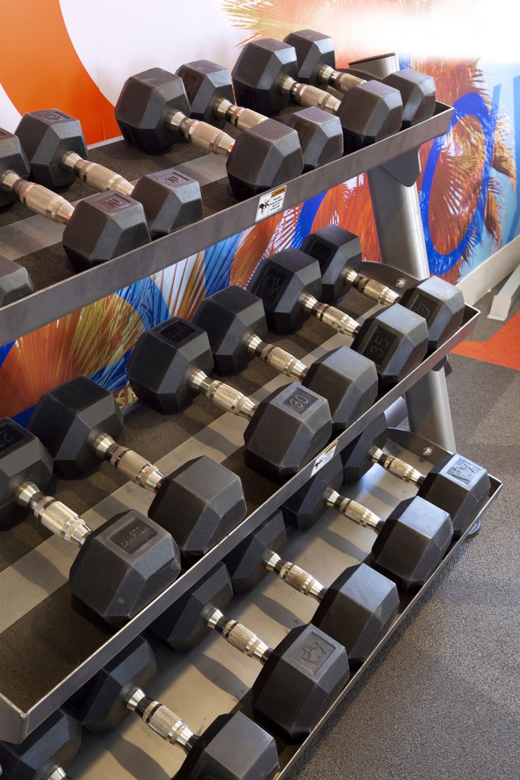 a row of dumbbells in a gym at The Julia, Mesa, AZ 85210