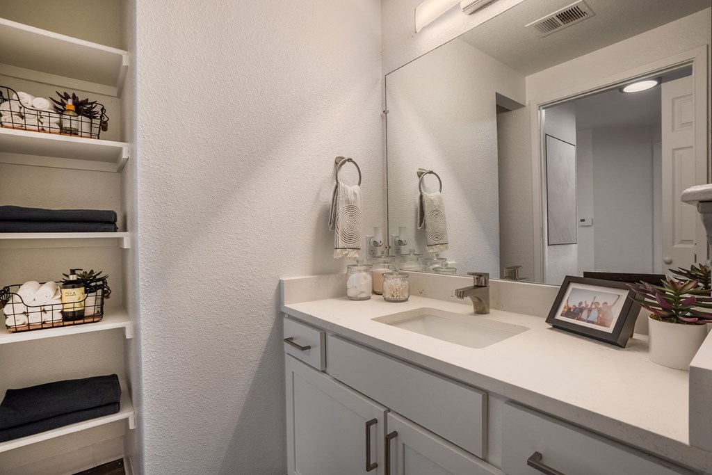 a bathroom with a sink and a mirror and a closet