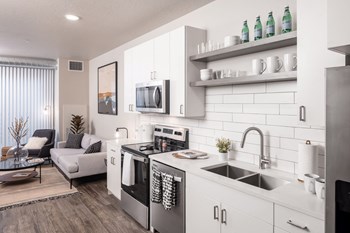 Kitchen and Living Room - Photo Gallery 5