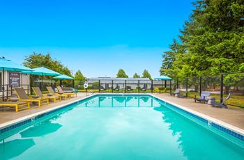 A large outdoor swimming pool with sun loungers and a blue umbrella.