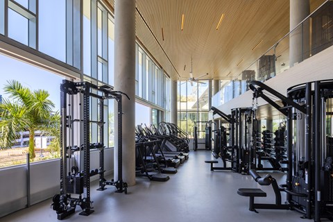 A gym with a row of treadmills and other cardio equipment.