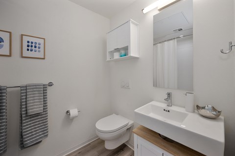 a bathroom with a sink and a toilet and a mirror