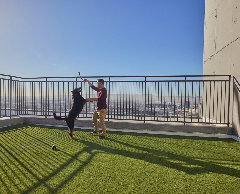 a man and his dog playing with a ball on an outdoor bark park