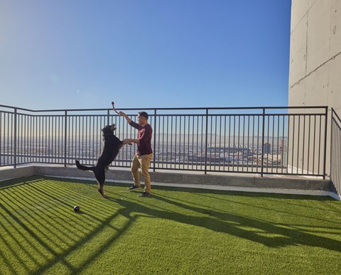 a man and his dog playing with a ball on an outdoor bark park
