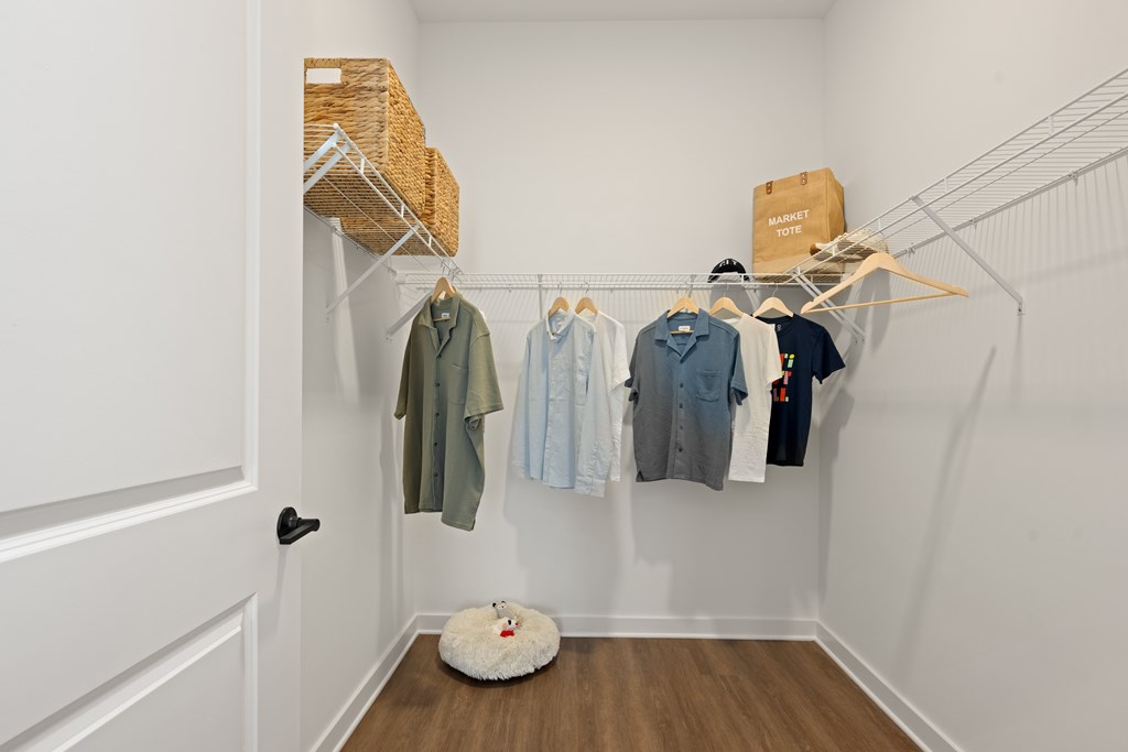 A white closet with clothes hanging and a white door.