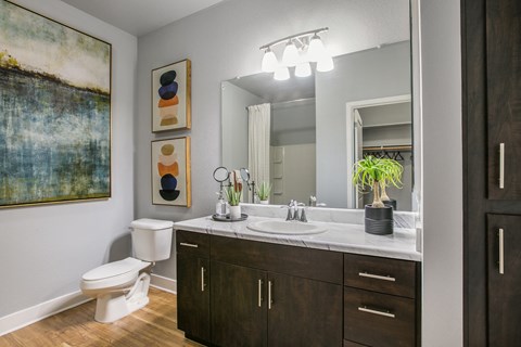 Luxurious Bathroom at SkyStone Apartments, New Mexico, 87114