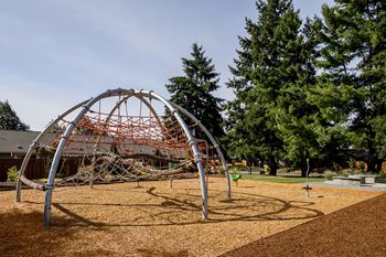 A playground with a large metal arch structure and a brown surface.