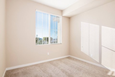 a bedroom with a large window and a carpeted floor