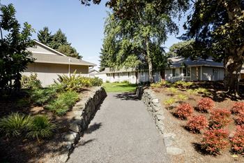 A residential area with houses and a paved walkway.