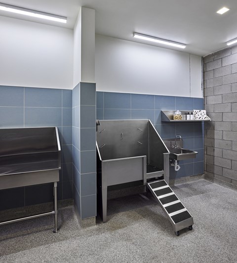 Indoor pet spa with pet tub, ceiling lighting