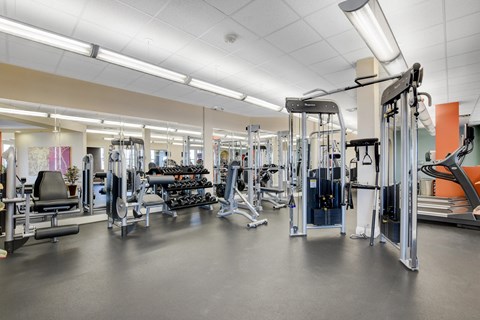 A gym with a variety of equipment including weights and cardio machines.