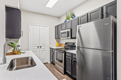 a kitchen with stainless steel appliances and black cabinets