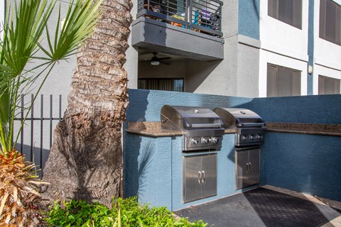 A patio with a grill and a palm tree.