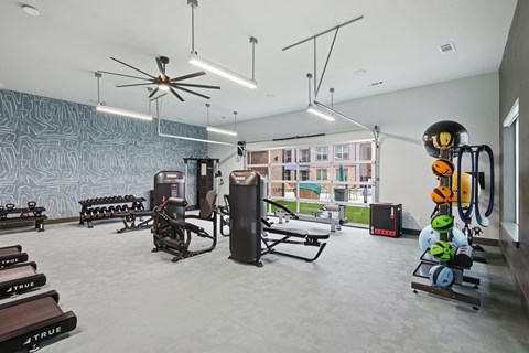 A gym with a variety of equipment including weights and a fan.