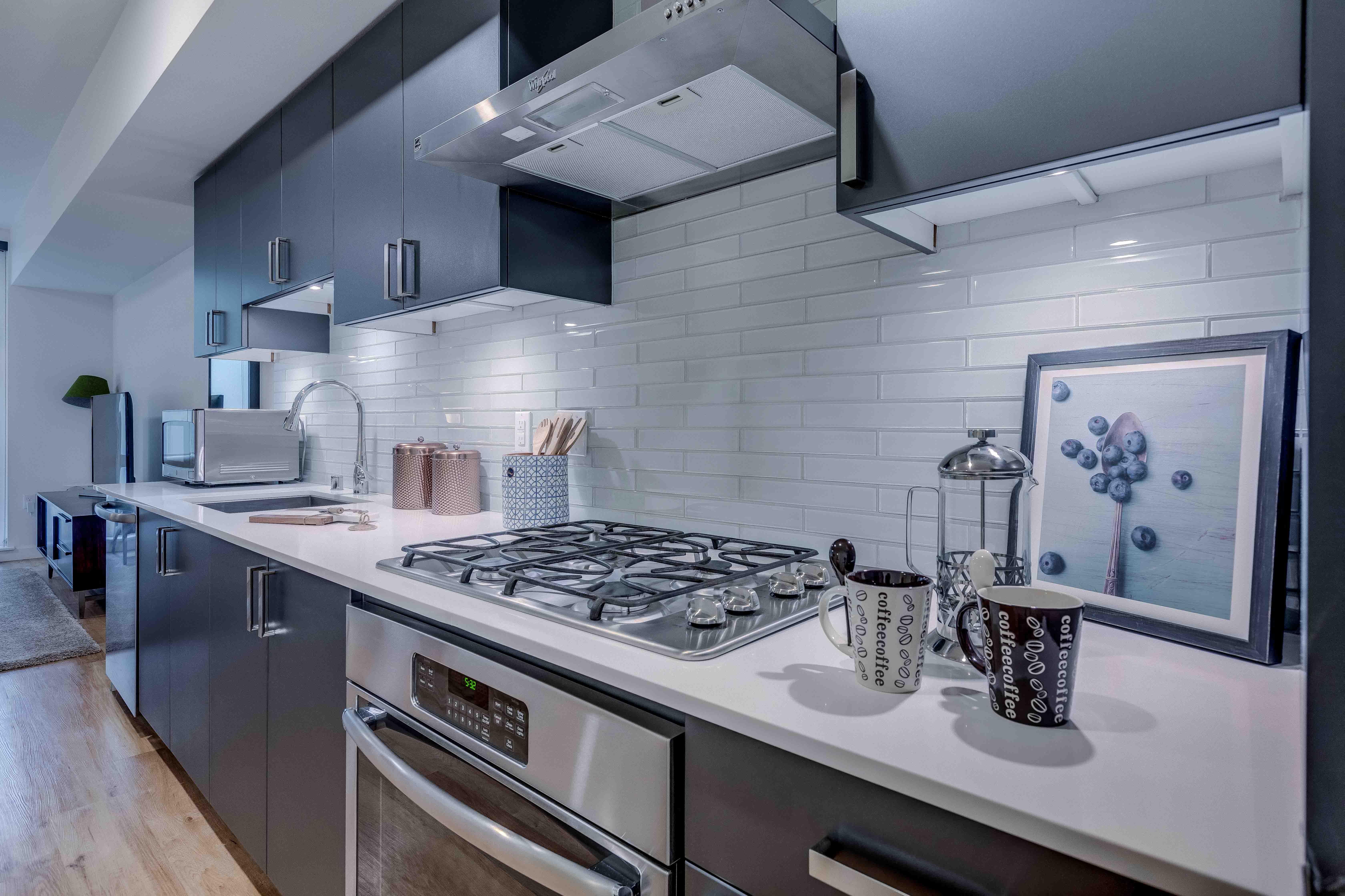 Radius Apartments Model Kitchen