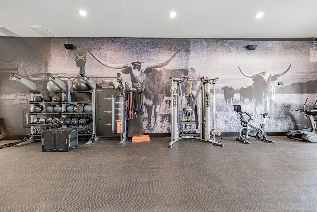 the home gym has a wall mural of a cow and weights and cardio equipment