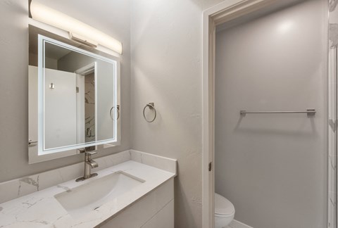 a bathroom with a sink and a mirror and a toilet