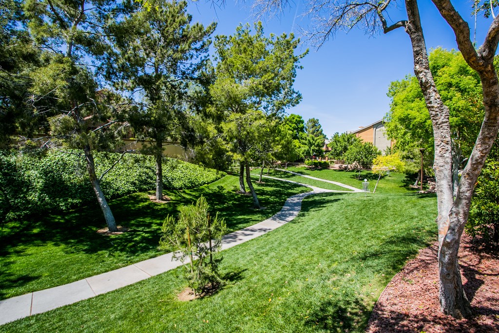 A tree-lined pathway