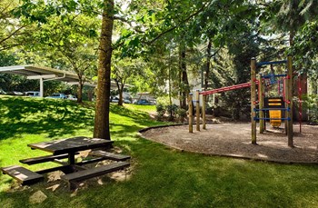 outdoor playground at Canyon Creek, Wilsonville - Photo Gallery 44