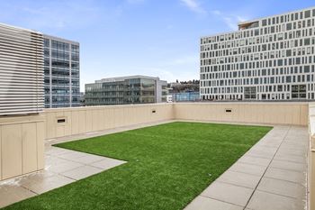 A rooftop garden with a green lawn and a concrete walkway.