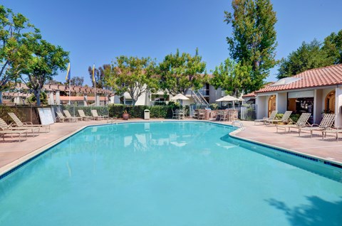 A large swimming pool surrounded by trees and lounge chairs.