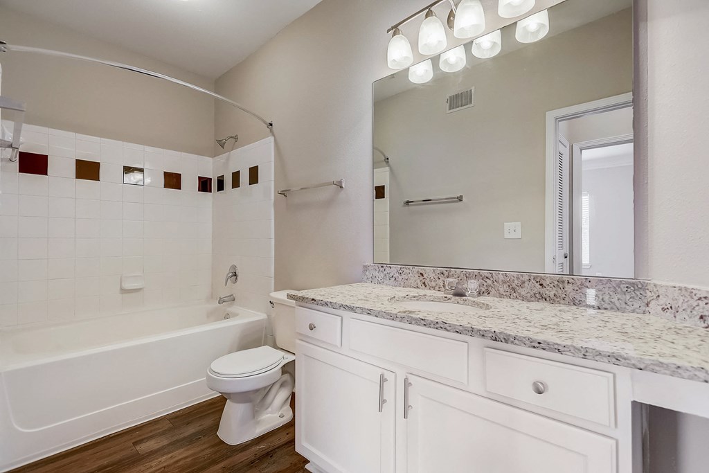 a bathroom with a bathtub and a toilet