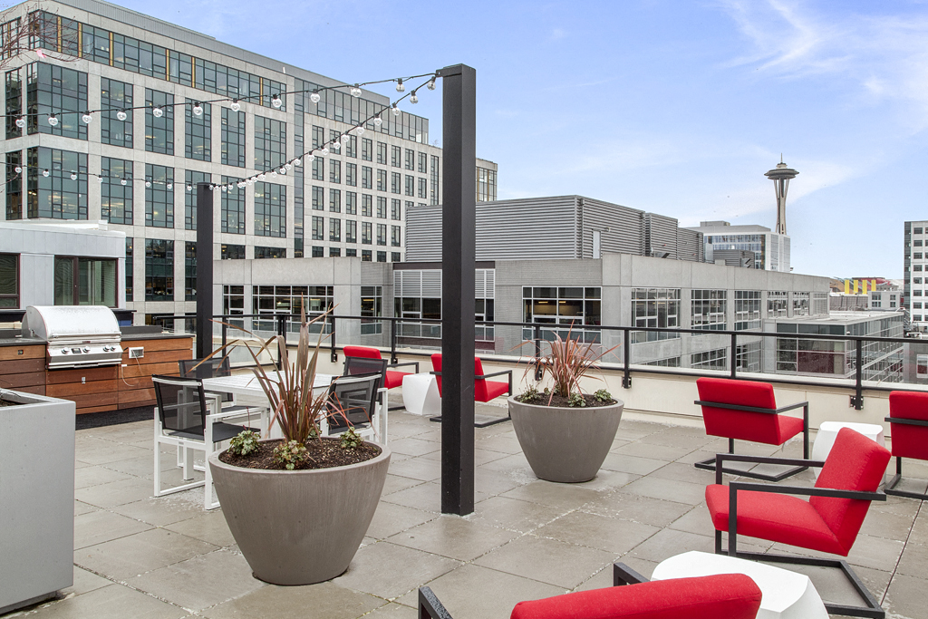 Radius Apartments Rooftop