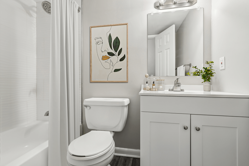 renovated bathroom with white cabinetry