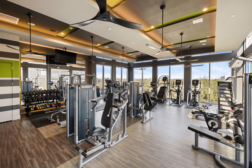 A gym with a variety of equipment including treadmills, weights, and a television.