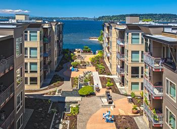 Water Views